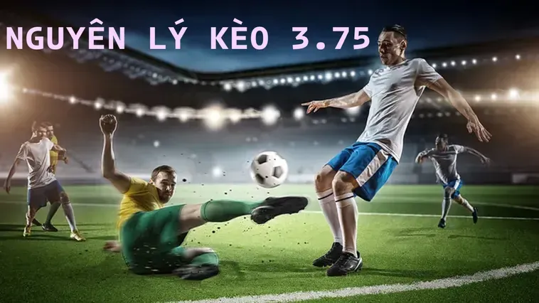 Cách Đọc Kèo 3.75 Và Kinh Nghiệm Dự Đoán Trận Đấu Áp Đảo 2026