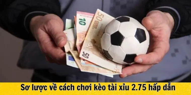 Kèo 2.75 Là Gì Và Cách Tính Tiền Thắng Thua Chi Tiết Nhất 2026