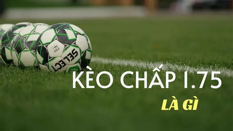Giải Mã Kèo Chấp 1.75 Và Cách Tính Tiền Thắng Thua Chi Tiết Nhất 2026